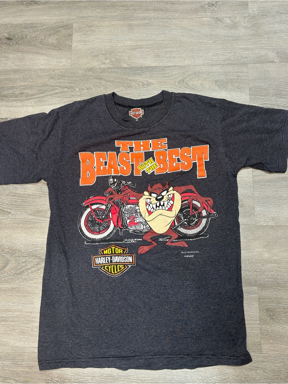 Vintage Harley Davidson Tasmanian Devil Taz "The Beast With The Best" 1993 SizeM